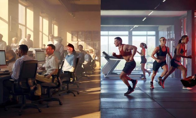 According To A Harvard Professor, Humans Are Built To Sit, Not To Exercise