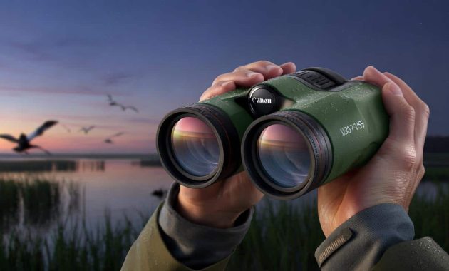 Canon 15×50 IS All Weather binocular review