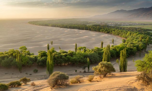 China planted so many trees in the Taklamakan Desert that it now absorbs CO2