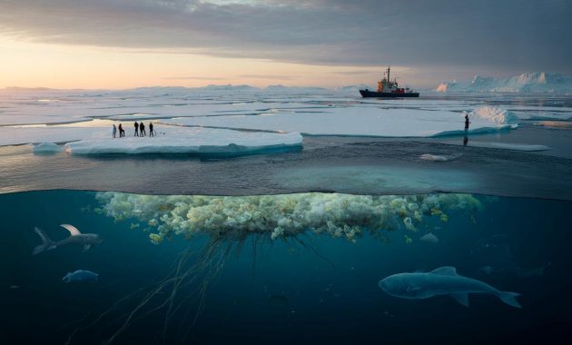 In the frozen depths of the Arctic, an unexpected answer to climate change emerges